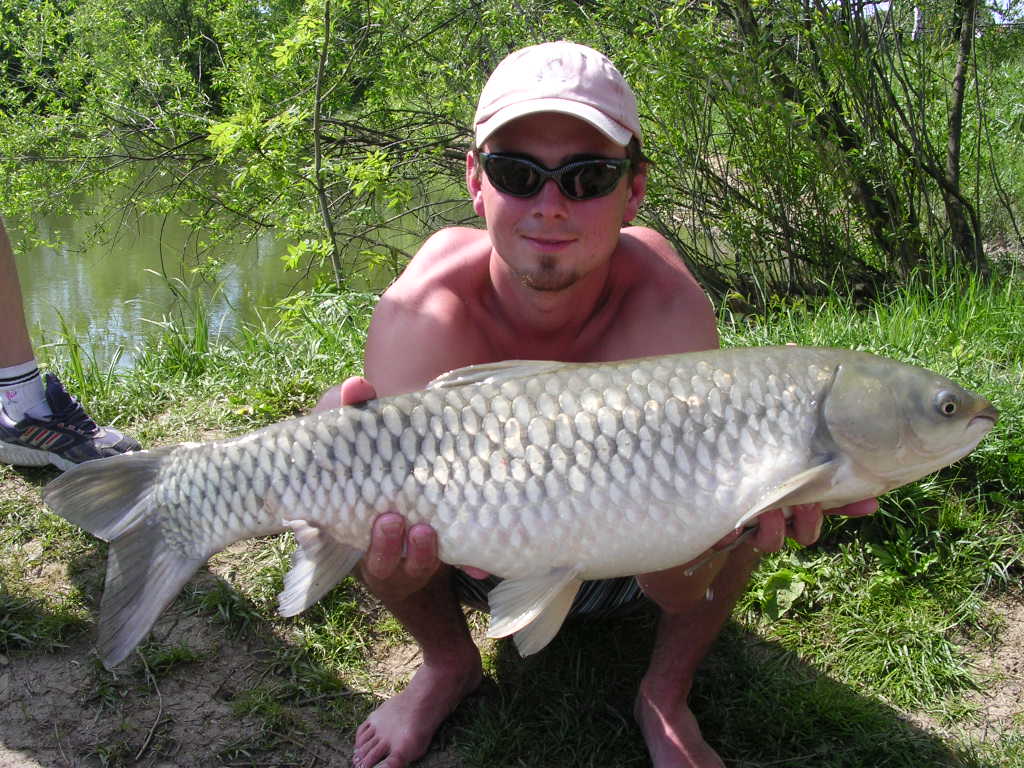 amur 70-skalička.jpg