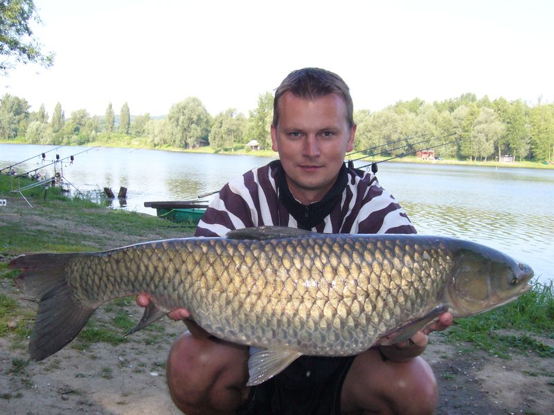 87cm-9,5kg-kukuřice-2ks.jpg